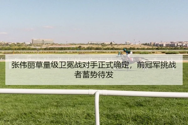 zhang-wei-li-cao-liang-ji-wei-mian-zhan-dui-shou-zheng-shi-que-ding-qian-guan-jun-tiao-zhan-zhe-xu-shi-dai-fa-2-441.jpg